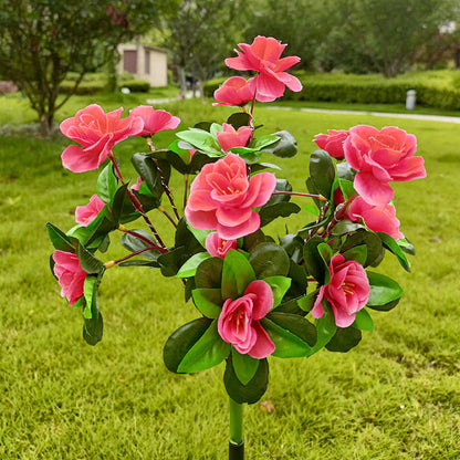 Simulatie Azalea Bloem Grondsteek Zonneverlichting